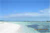 Beautiful Bahama Flats.jpg (17788 bytes)